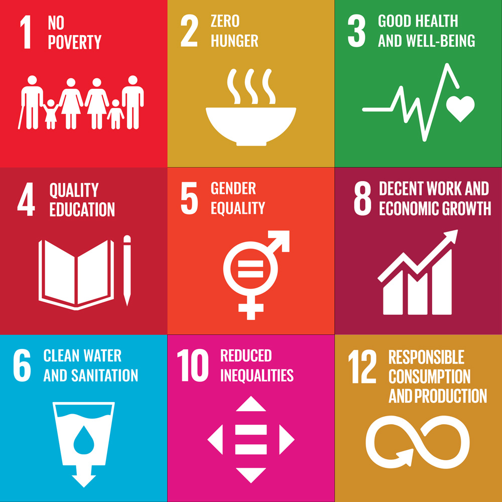 SDG combined grid logos